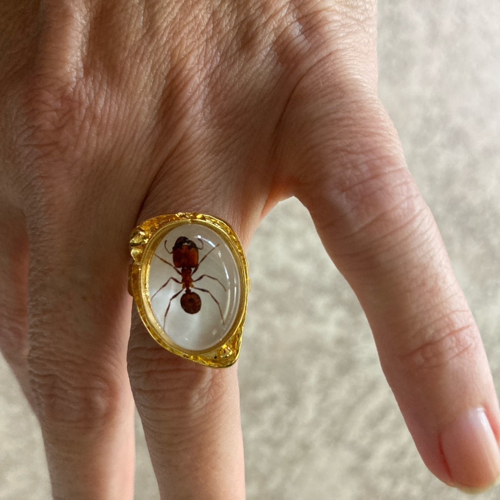 Ant Ring Real Carpenter Ant in resin set on a gold plated adjustable ring